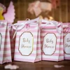 Sachet de 10 Pochettes Baby Shower - Rose