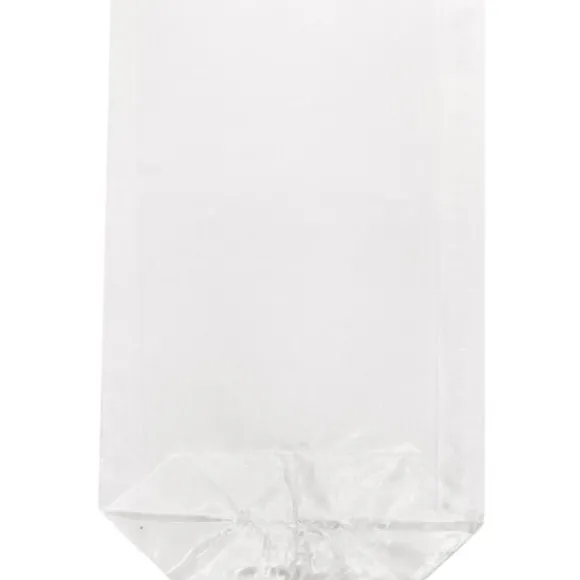 10 sachets transparents - 11,5 x 19 cm