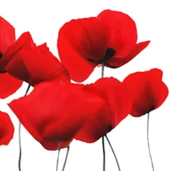 20 serviettes cocktail en papier - 25 x 25 cm - Red Poppy