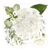 16 Serviettes en papier profilées - Floral White