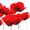 20 serviettes en papier - 33 x 33 cm - Atelier "Red Poppy"