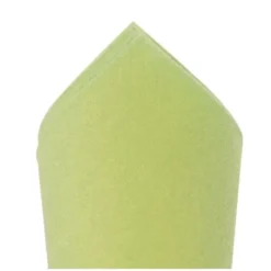 100 Serviettes Ouate de Cellulose 38 x 38 cm - Vert amande