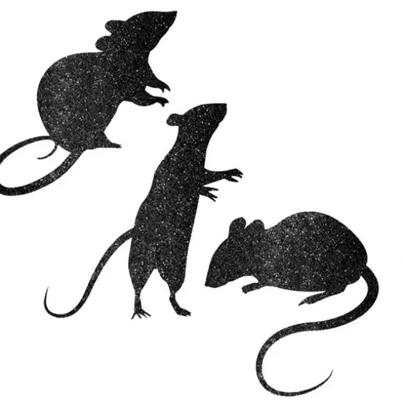 Silhouettes Rats Noirs Paillettées