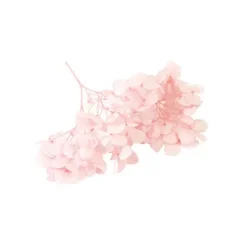 Tige de petites fleurs séchées - Couleur au choix