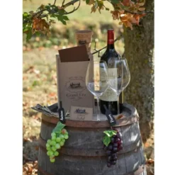 Tirelire - Grand Cru
