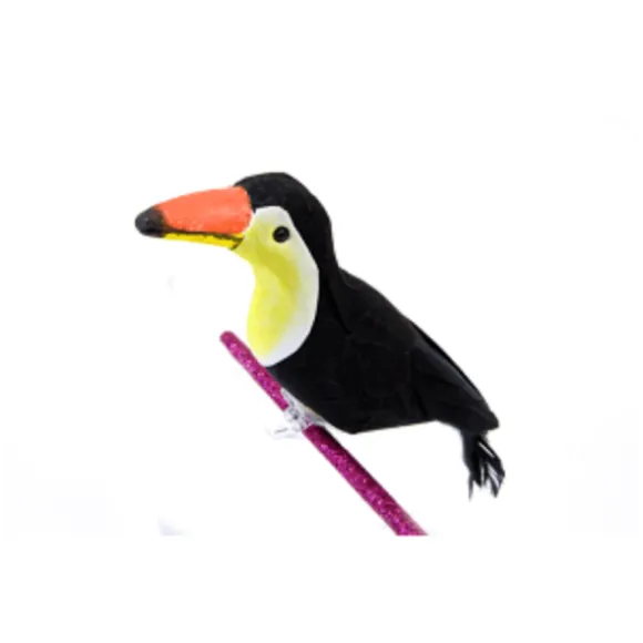 Toucan sur Pince