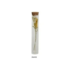 Tube en verre avec fleurs séchées - 18 cm - Couleur au choix