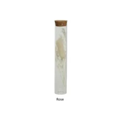 Tube en verre avec fleurs séchées - 18 cm - Couleur au choix
