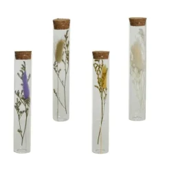 Tube en verre avec fleurs séchées - 18 cm - Couleur au choix