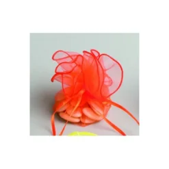 Tulle 